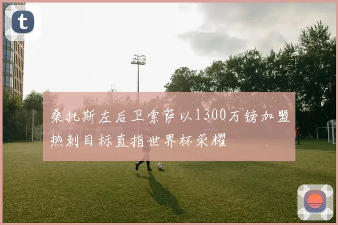 桑托斯左后卫索萨以1300万镑加盟热刺目标直指世界杯荣耀
